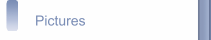 Pictures